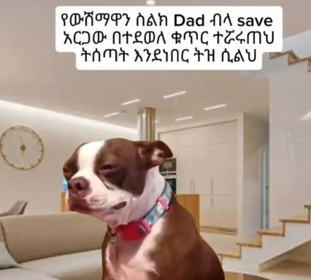 |የወሸማዋን ስልክ ይወ ብላ ዓፍ | አርጋሙ በተደወለ ቁጥር ተሯሩጠህ ኮ” “ግትሰጣት እንደነበር ትዝ ሲልህ ኹ-ኀ [sores Nan Dad AA save | AIO NTLOA MCE TEGMU FRAME RILING TH AAU (en